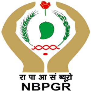 NBPGR Jobs 2020
